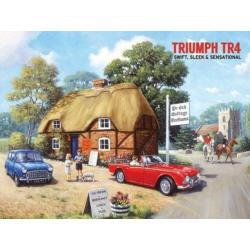 auto wandborden metaal 40*30 foto's austin healey ea