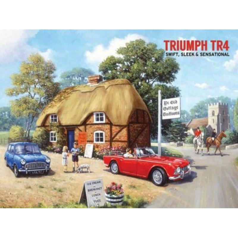 auto wandborden metaal 40*30 foto's austin healey ea