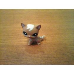 Littlest pet shop shorthair cat 3 petshop gereserveerd