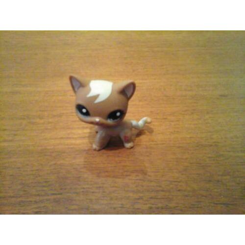 Littlest pet shop shorthair cat 3 petshop gereserveerd