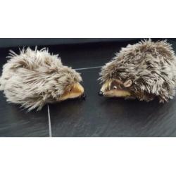 Steiff Antiek Mohair Igel Joggi 18cm