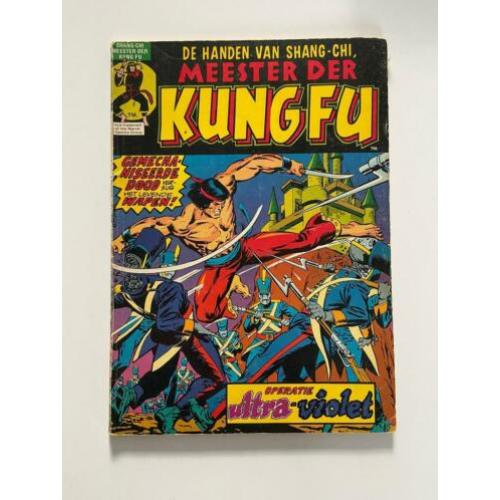 Meester der Kungfu
