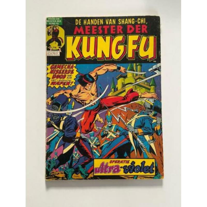 Meester der Kungfu