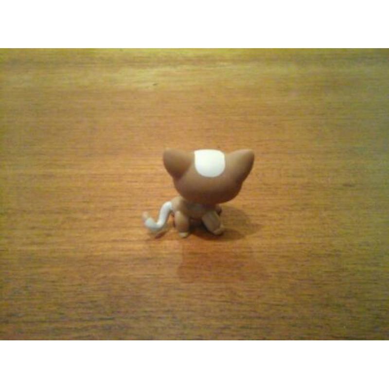 Littlest pet shop shorthair cat 3 petshop gereserveerd