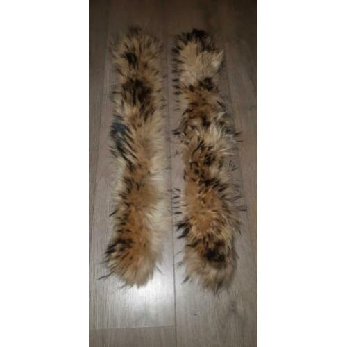 2x bontkraas (racoon)