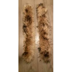 2x bontkraas (racoon)