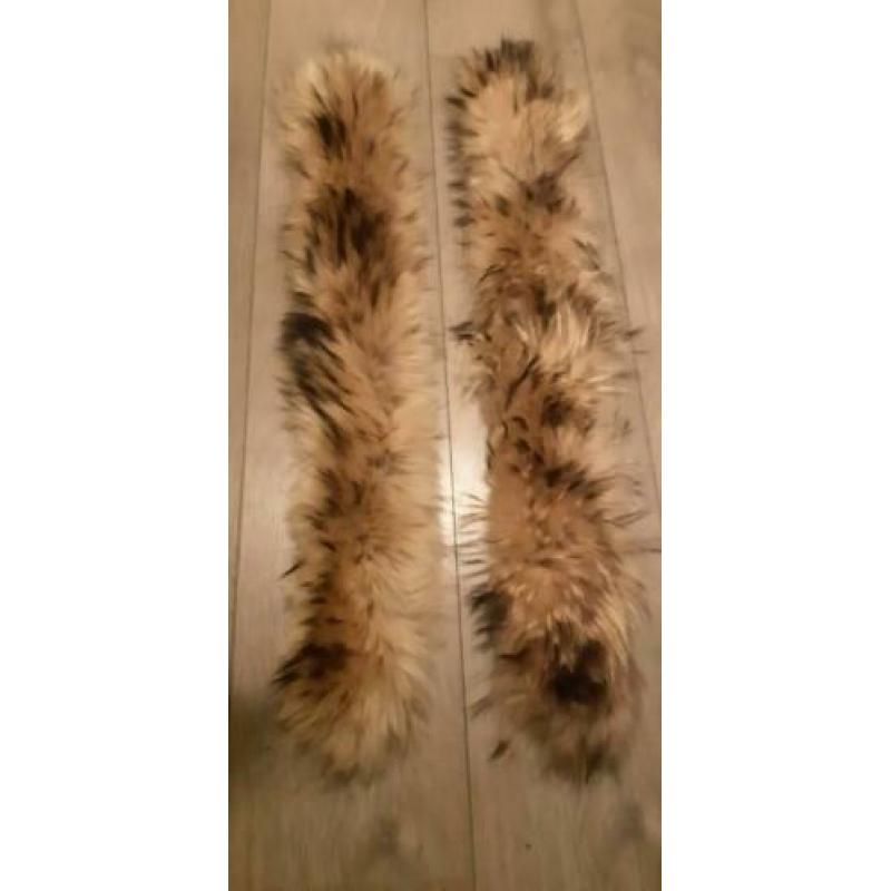 2x bontkraas (racoon)