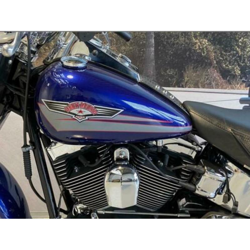 Harley-Davidson Softail FLSTF FAT BOY 96'' 1584