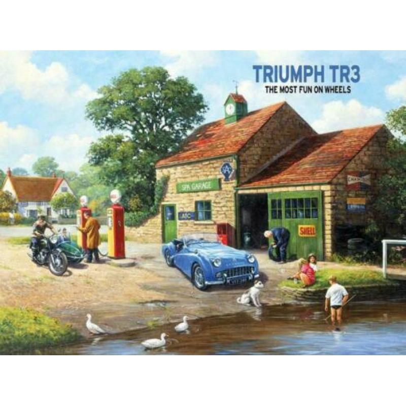 auto wandborden metaal 40*30 foto's austin healey ea