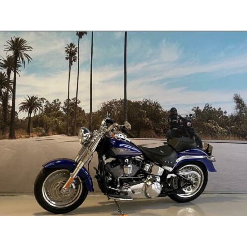 Harley-Davidson Softail FLSTF FAT BOY 96'' 1584