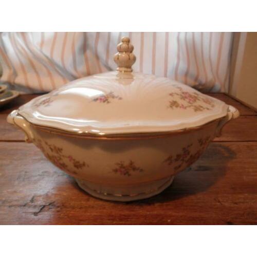 Vintage mooi en gaaf Bavaria Johann Haviland servies.