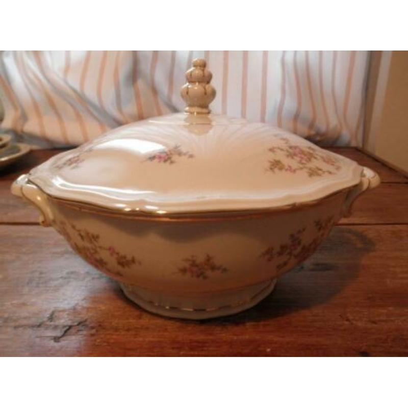 Vintage mooi en gaaf Bavaria Johann Haviland servies.