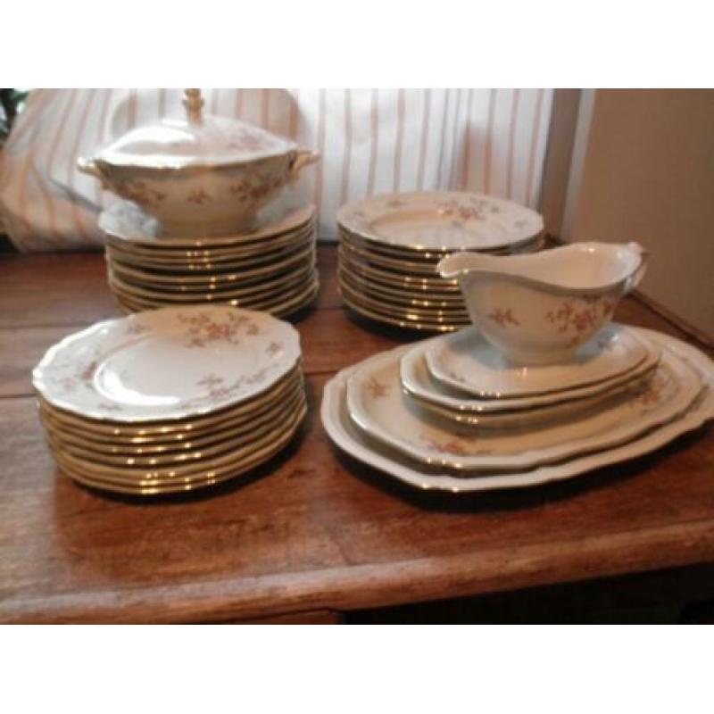 Vintage mooi en gaaf Bavaria Johann Haviland servies.