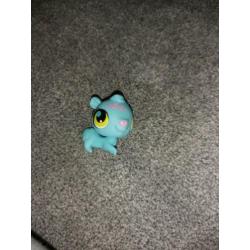 Pet shop club huis