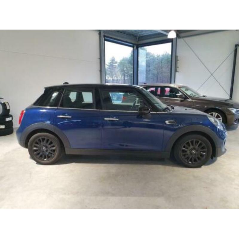 Mini Mini 1.5 Cooper Pepper Business