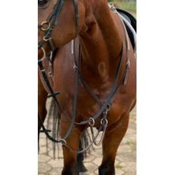 Paarden spullen