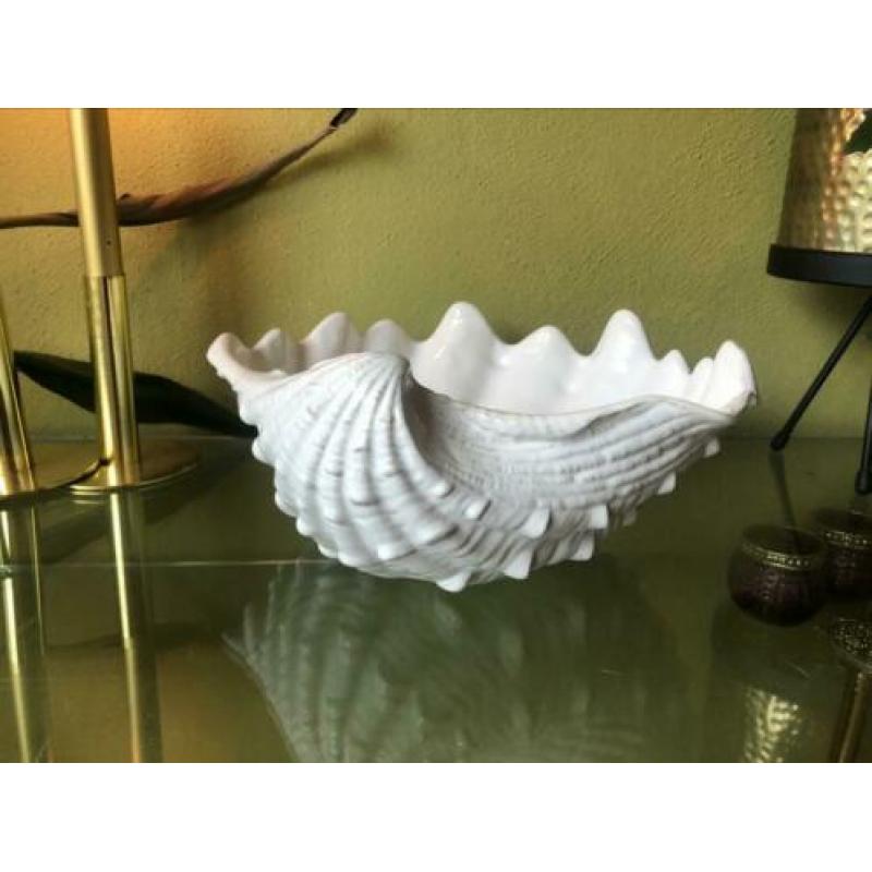 Vintage bloempot schaal schelp