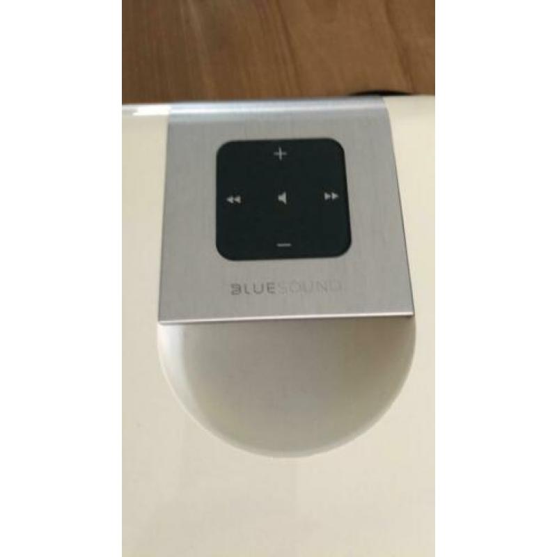 Bluesound Pulse draadloze luidspreker (defect)