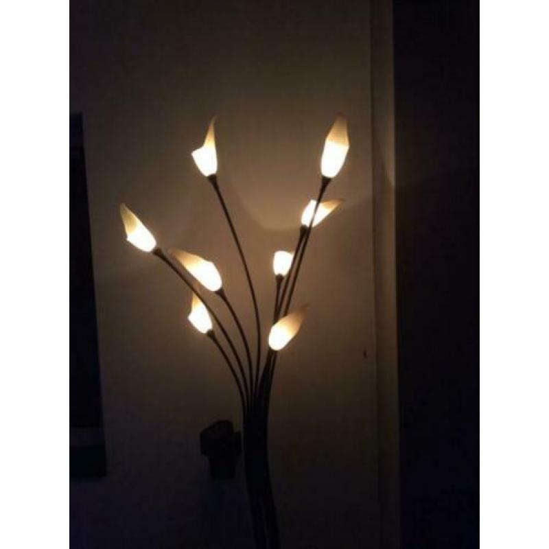 Uniek lampenset (gekocht bij Straluma)