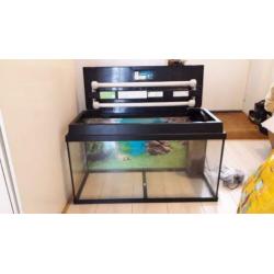 Aquarium met pomp