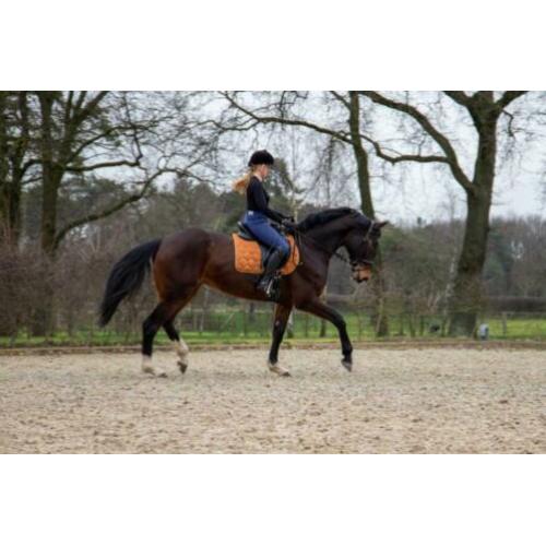 Te koop: zeer brave dressuurmerrie