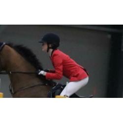Paarden spullen