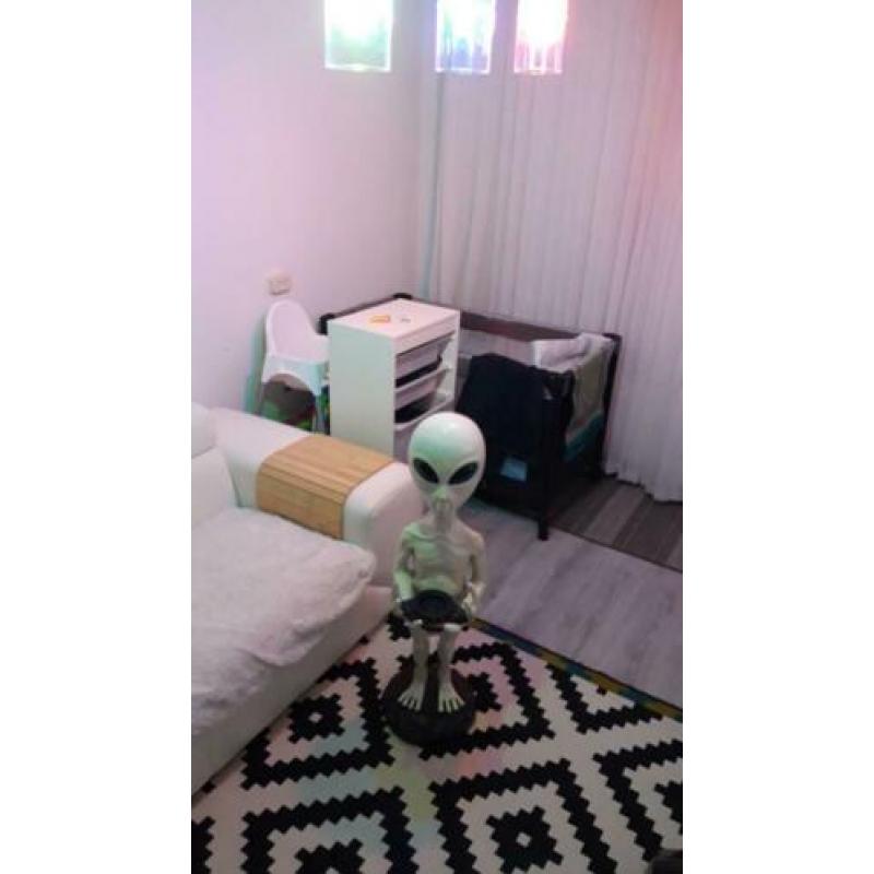 Te-Koop beeld- Alien *coffeshop)