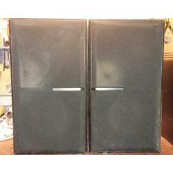Actieve Subwoofer