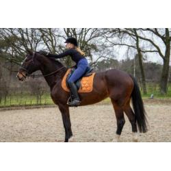 Te koop: zeer brave dressuurmerrie