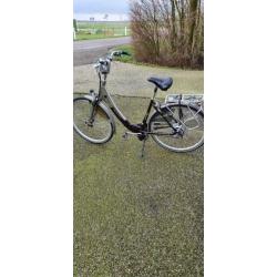 Sparta Ion comfort dlx