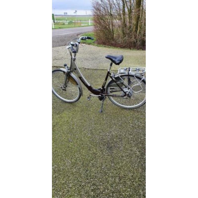 Sparta Ion comfort dlx