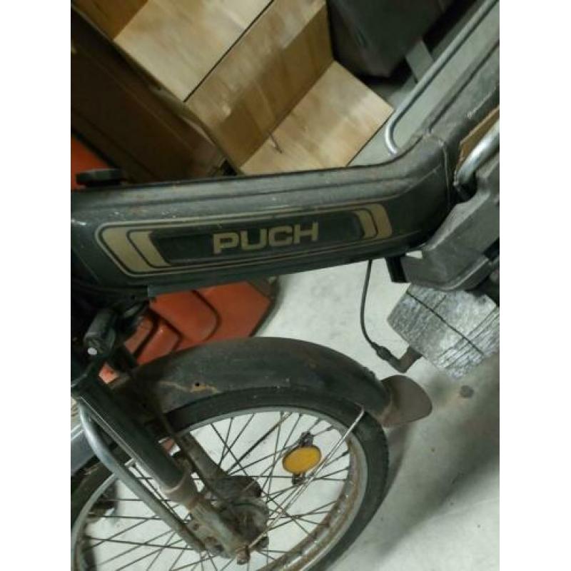 Puch