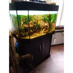 prachtig aquarium met goede pompfilter en ongeveer 100vissen