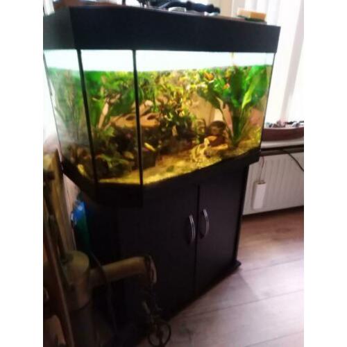 prachtig aquarium met goede pompfilter en ongeveer 100vissen