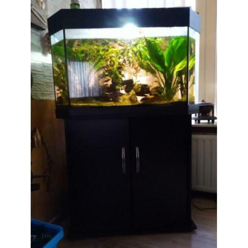 prachtig aquarium met goede pompfilter en ongeveer 100vissen