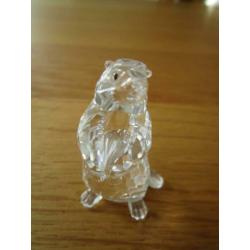 Te koop van Swarovski de Marmot
