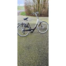 Sparta Ion comfort dlx