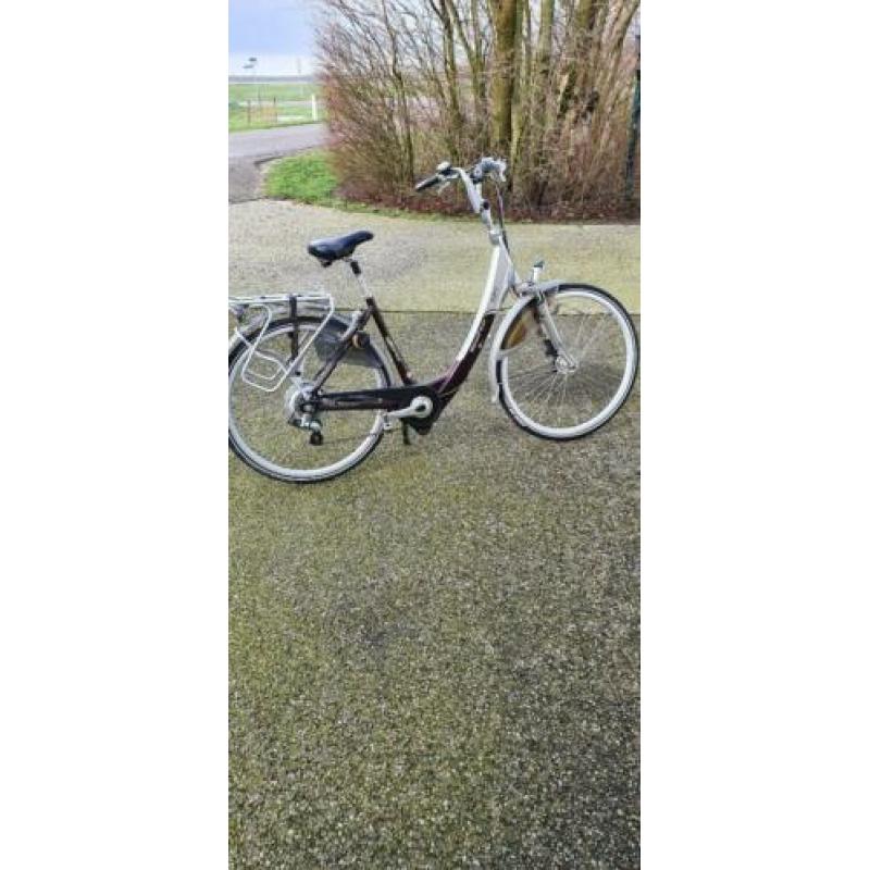 Sparta Ion comfort dlx