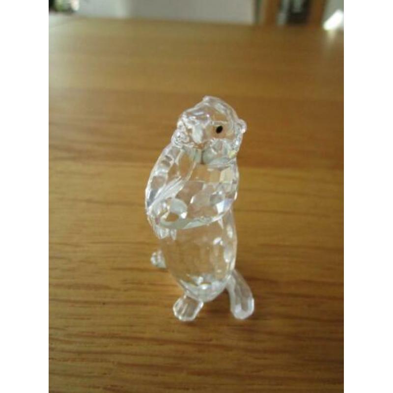 Te koop van Swarovski de Marmot