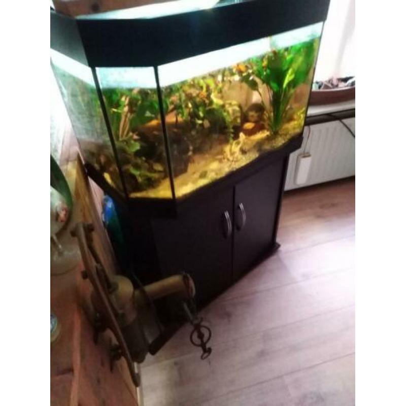 prachtig aquarium met goede pompfilter en ongeveer 100vissen