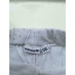 Prenatal broek broekje katoen meisje maat 56