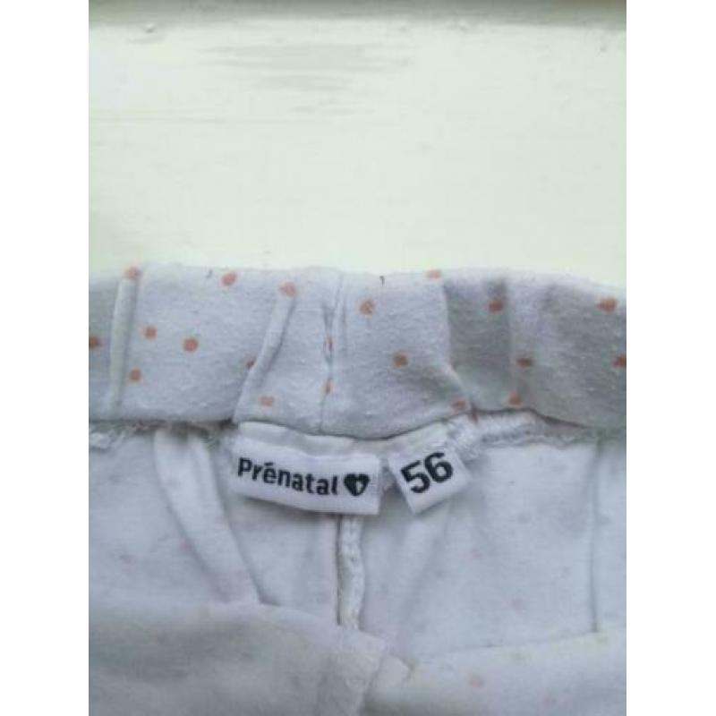 Prenatal broek broekje katoen meisje maat 56