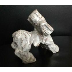 Mobach hondje