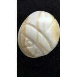 10 scarabee: edelsteen en steen-- pr.p.st./set