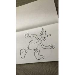 Looney tunes kleurboek