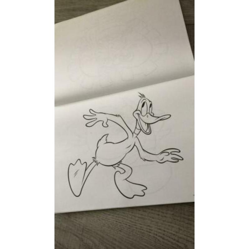 Looney tunes kleurboek