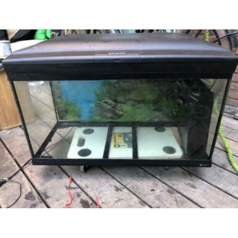 Aquarium van het merk cayman te koop