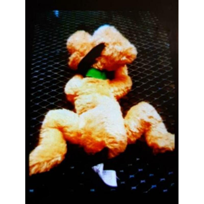 DISNEY Nicotoy Pluto knuffel. No.19