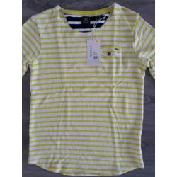 SCOTCH & SODA T-Shirts Longsleeve (NIEUW) / MAAT 140