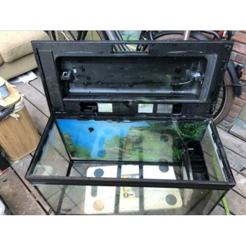 Aquarium van het merk cayman te koop